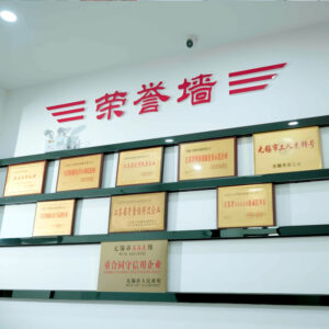 Почёты-компании-Wuxi-Daqiao-Bearing-Machinery-Co-LTD